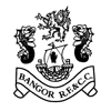 Bangor CC badge